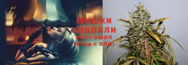 гидра Абаза
