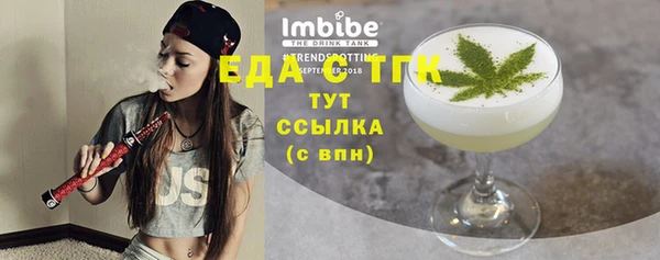гидра Абаза