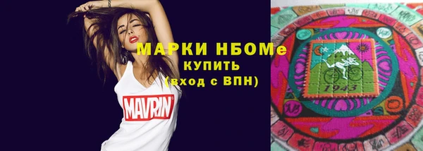 гидра Абаза