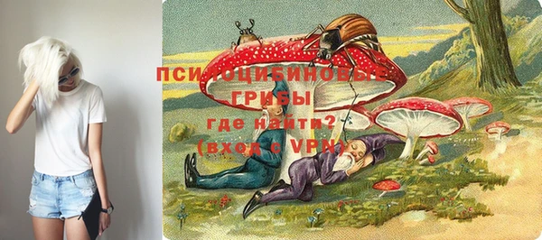 экстази Пересвет