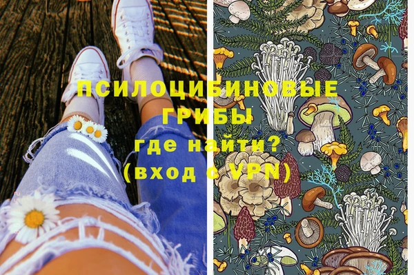 гидра Абаза