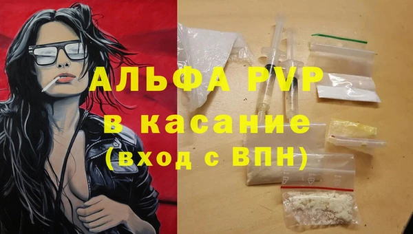 гидра Абаза